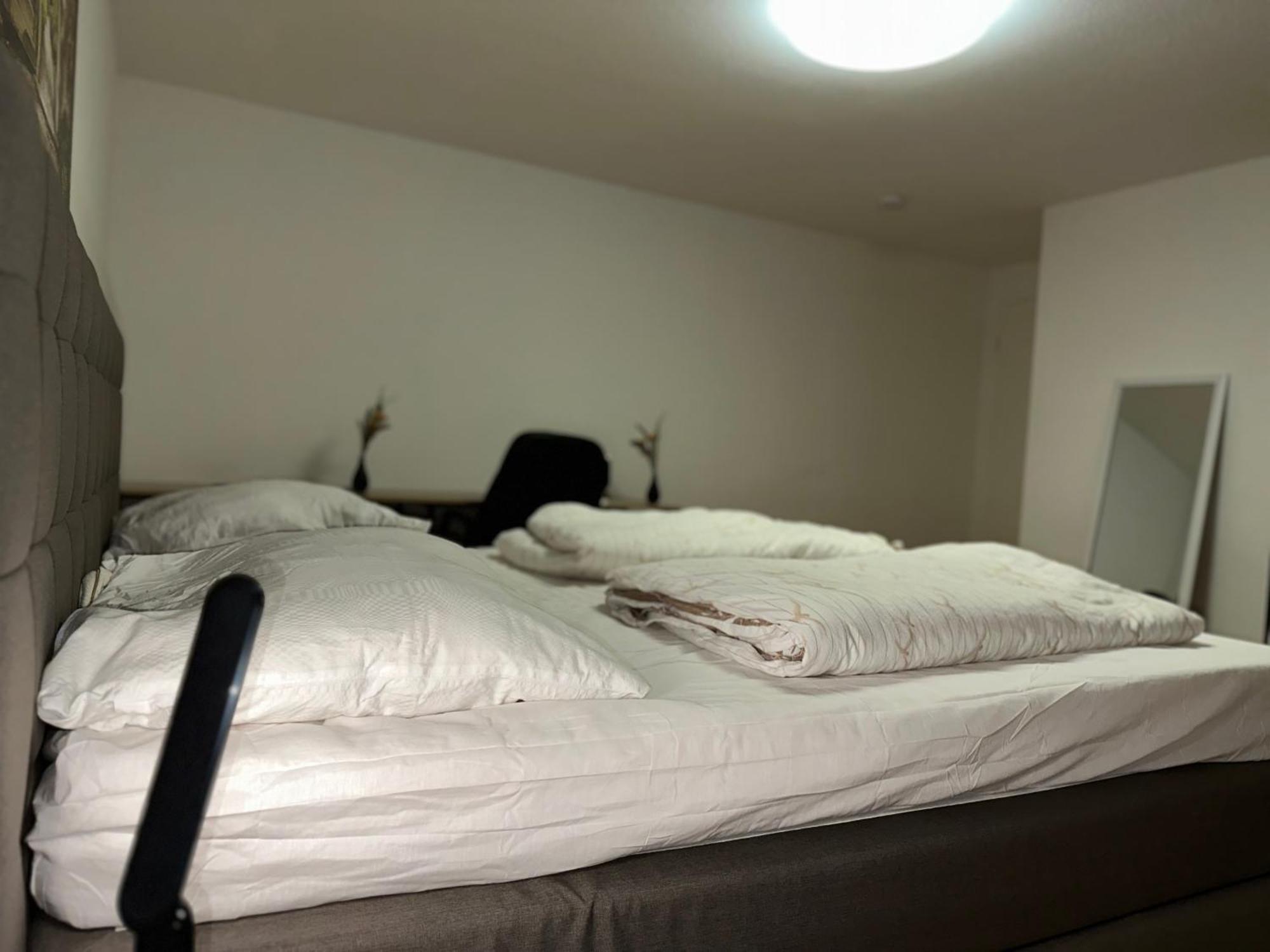 City Wohnung Zwickau Apartment Zwickau